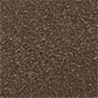 Medium Brown