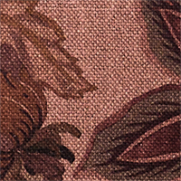 Medium Pink