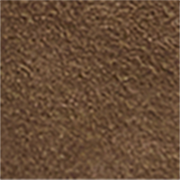 Medium Brown